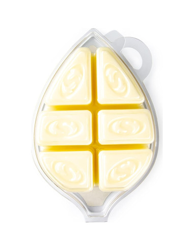 Vela Aromatizada de Cera de Soja Gardenia Shortie's 85 Gr