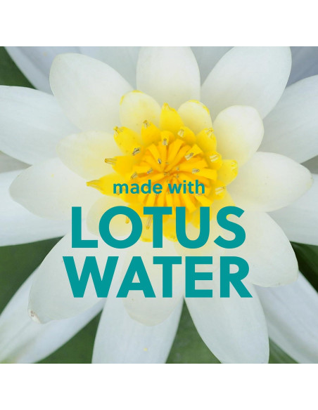 Manteca Corporal Tree Hut Karité Agua de Loto 240 ml Manteca Corporal Tree Hut Karité Agua de Loto 240 ml