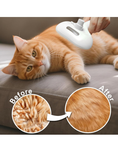 Cepillo de Vapor para Mascotas HESUSLA 2 en 1 Antiestático