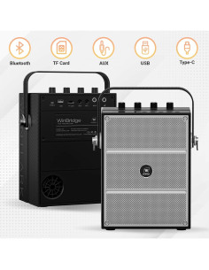 Altavoz Bluetooth WinBridge S97 60W con Micrófonos Inalámbricos 2