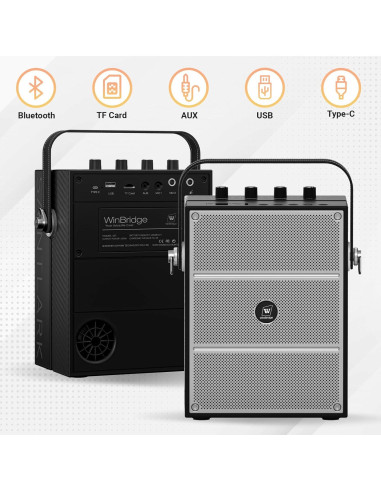 Altavoz Bluetooth WinBridge S97 60W con Micrófonos Inalámbricos