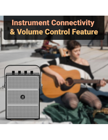 Altavoz Bluetooth WinBridge S97 60W con Micrófonos Inalámbricos