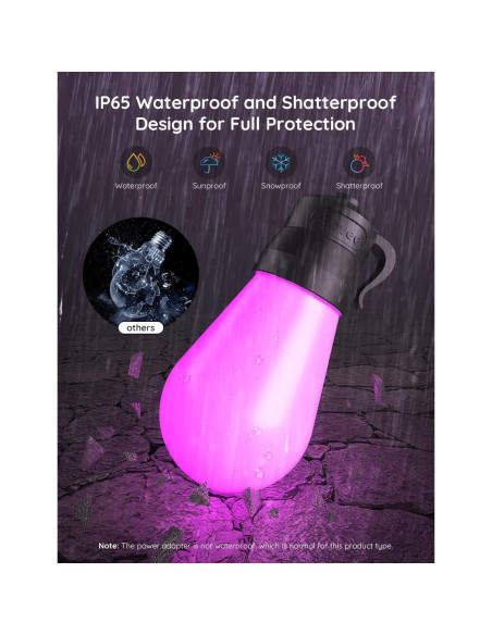 Luces de Cadena Inteligentes Govee H7015 14.63m RGBIC IP65