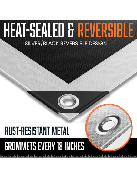 Lona Plástica Impermeable KING-A-MA-JIGS 3.05x3.05m 16 Mil