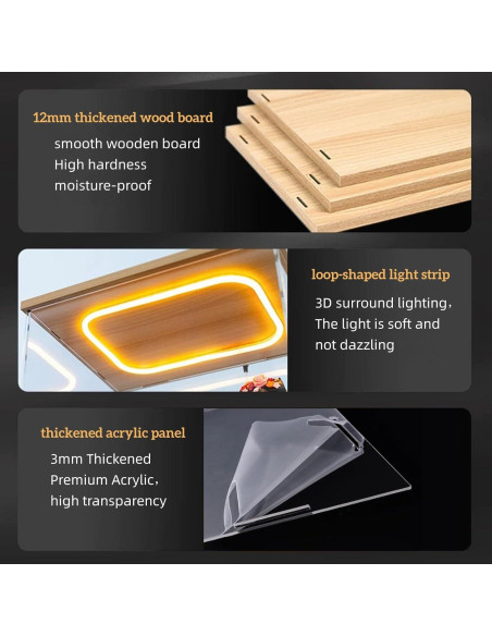 Caja de Exhibición Acrílica con Luz LED 60x10x20cm LABUBU