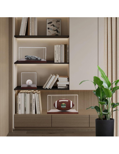 Caja de Exhibición Acrílica BZVlemon 10x10x10 cm con Base de Madera