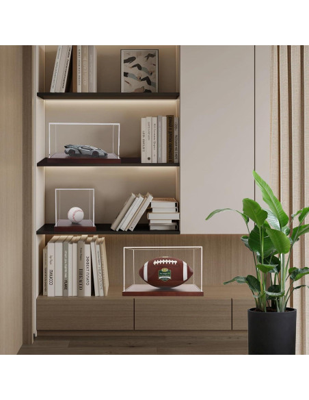 Caja de Exhibición Acrílica BZVlemon 10x10x10 cm con Base de Madera