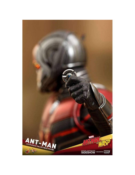 Figura Coleccionable Hombre Hormiga Hot Toys 1:6 Detalles Figura Coleccionable Hombre Hormiga Hot Toys 1:6 Detalles