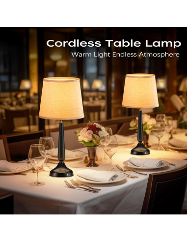 Lámpara de Mesa Inalámbrica PARTPHONER 48.3cm Táctil Recargable