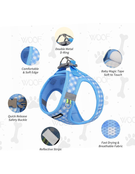 Arnés y Correa para Perros AIITLE Azul XXS Sin Tirones