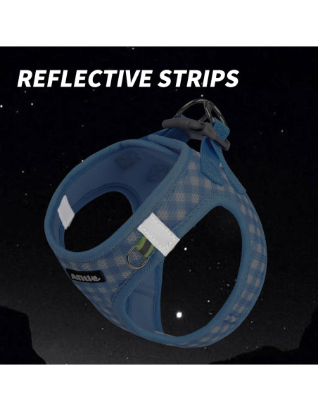 Arnés y Correa para Perros AIITLE Azul XXS Sin Tirones