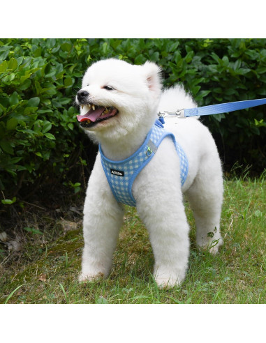 Arnés y Correa para Perros AIITLE Azul XXS Sin Tirones