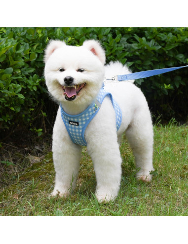 Arnés y Correa para Perros AIITLE Azul XXS Sin Tirones