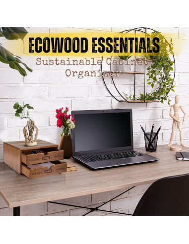 Organizador de Escritorio de Madera Flexzion con 2 Cajones