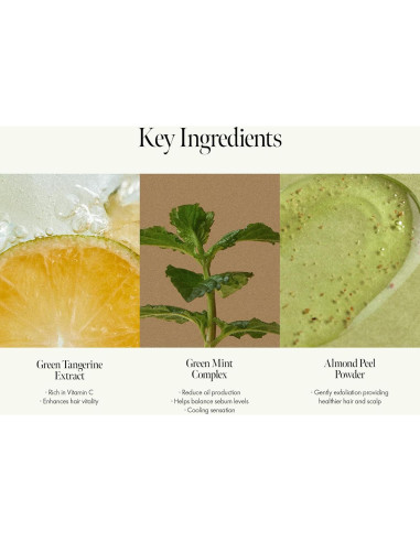 Champú Refrescante Lima Domingo 450 ml - Exfoliante y Limpieza Profunda