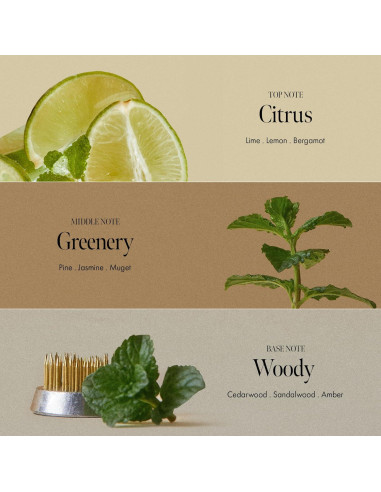 Champú Refrescante Lima Domingo 450 ml - Exfoliante y Limpieza Profunda