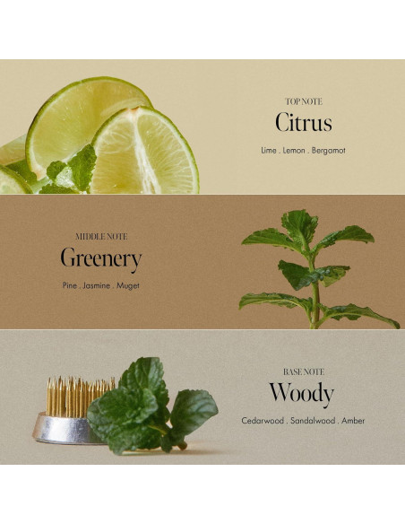 Champú Refrescante Lima Domingo 450 ml - Exfoliante y Limpieza Profunda