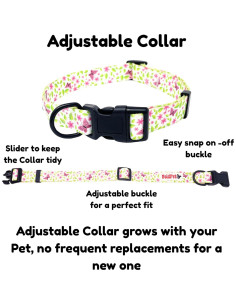 Conjunto Collar y Correa para Perros BOLDPET Floral Ajustable 2