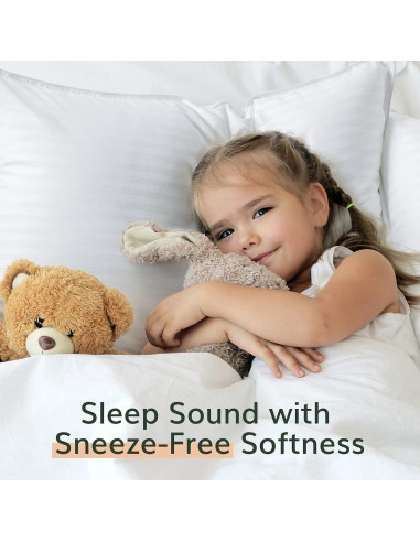 Almohadas Premium Fern y Willow - Juego de 2 - 91cm x 51cm - Suave y Fresca