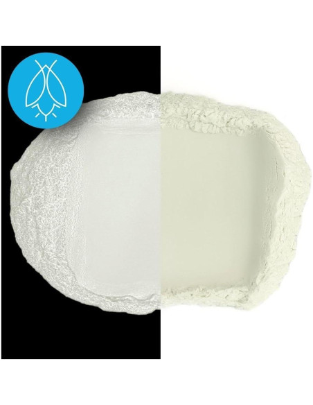 Polvo Fluorescente que Brilla en la Oscuridad Art 'N Glow 120g