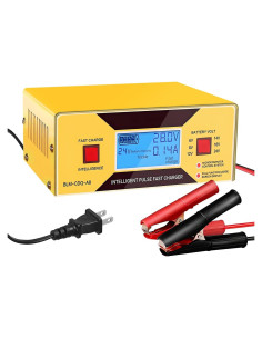 Cargador de Baterías Automático HUIAIPAIC 6-24V 10A