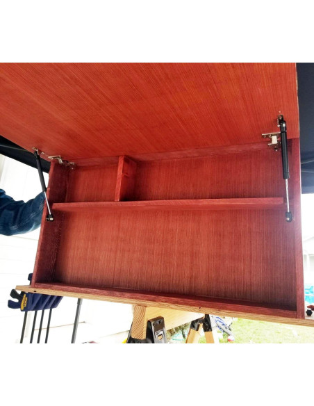 Amortiguadores de Gas Apexstone 100N 25.4 cm Juego de 4