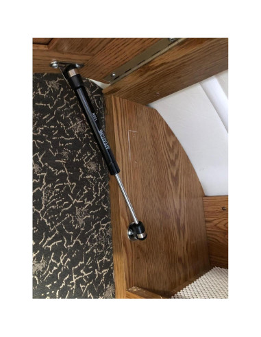 Amortiguadores de Gas Apexstone 100N 25.4 cm Juego de 4