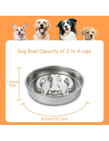 Cuenco Antideslizante para Perros LDXDRU 21.8cm Acero Inoxidable
