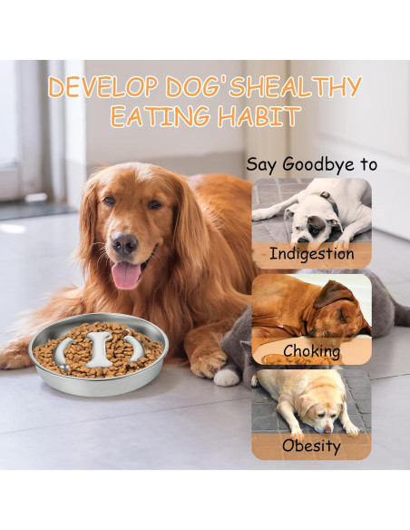 Cuenco Antideslizante para Perros LDXDRU 21.8cm Acero Inoxidable