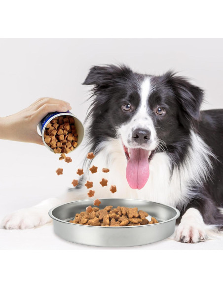Cuenco Antideslizante para Perros LDXDRU 21.8cm Acero Inoxidable