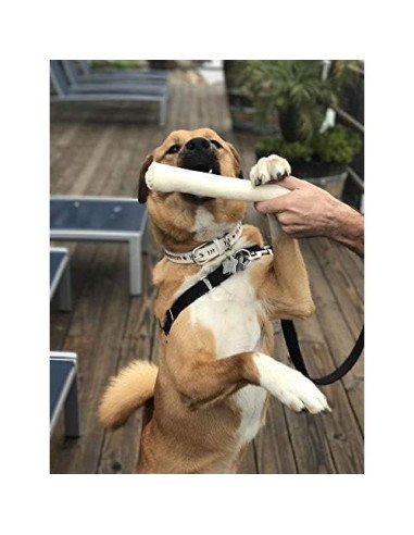 Rollos de piel de res para perros Cowdog Chews 20 paquetes 1.81 kg