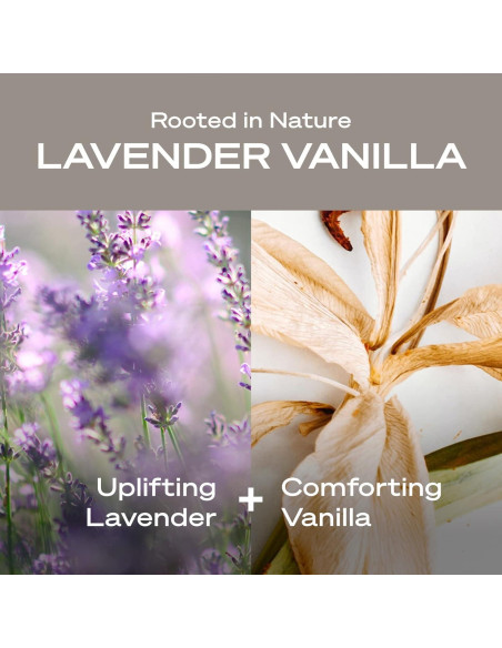 Desodorante Hey Humans Sin Aluminio 56.7g Lavanda Vainilla