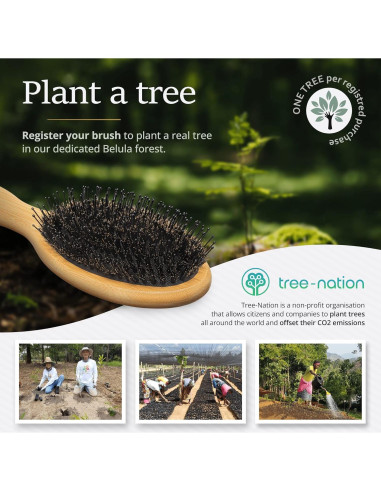 Cepillo de Cerdas de Jabalí Belula para Cabello Grueso 27.5cm