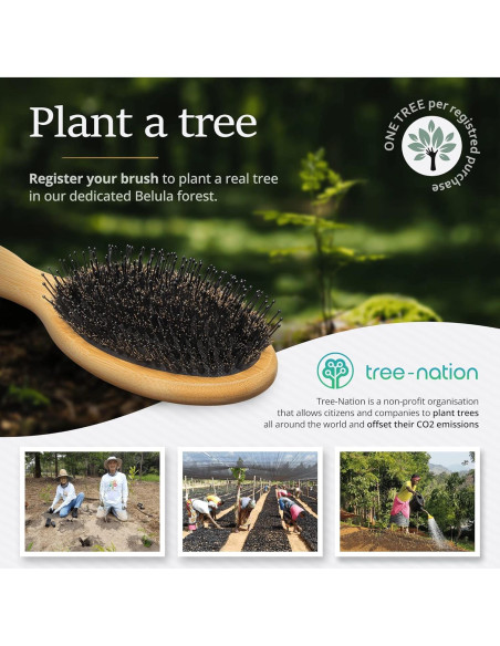 Cepillo de Cerdas de Jabalí Belula para Cabello Grueso 27.5cm