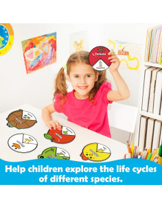 Kit de Juguetes del Ciclo de Vida Kasfalci para Niños 2