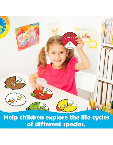 Kit de Juguetes del Ciclo de Vida Kasfalci para Niños