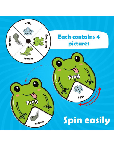 Kit de Juguetes del Ciclo de Vida Kasfalci para Niños