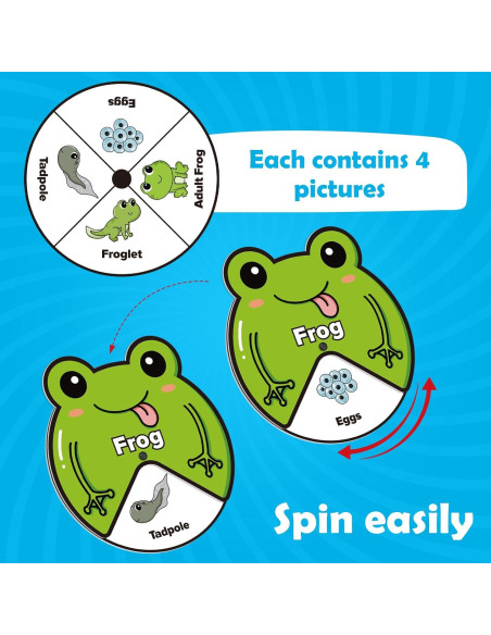 Kit de Juguetes del Ciclo de Vida Kasfalci para Niños