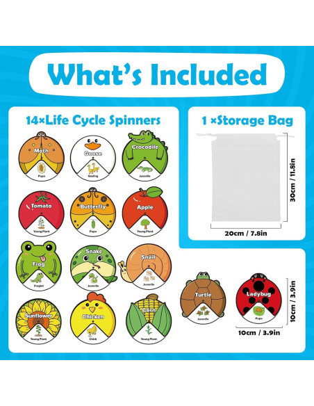 Kit de Juguetes del Ciclo de Vida Kasfalci para Niños