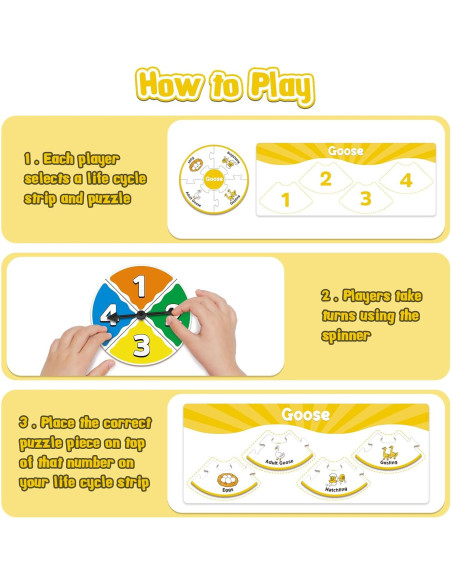 Kit de Juguetes del Ciclo de Vida Kasfalci para Niños