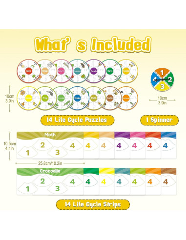 Kit de Juguetes del Ciclo de Vida Kasfalci para Niños