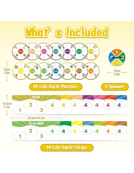Kit de Juguetes del Ciclo de Vida Kasfalci para Niños