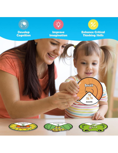 Kit de Juguetes del Ciclo de Vida Kasfalci para Niños