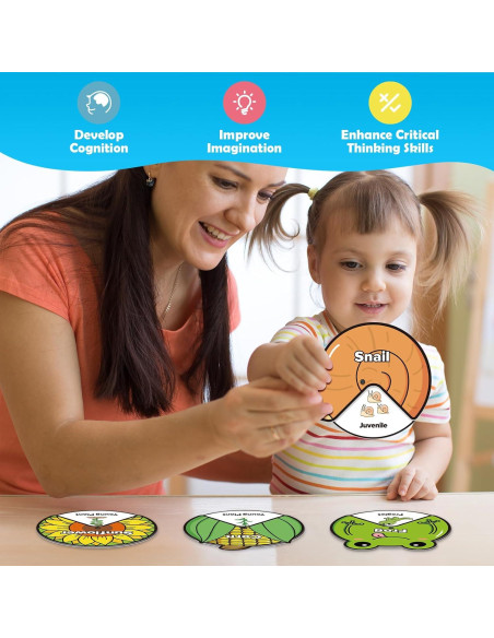 Kit de Juguetes del Ciclo de Vida Kasfalci para Niños