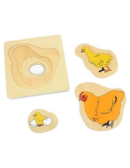 Rompecabezas de Madera Montessori DANNI Ciclo de Vida Gallina Rompecabezas de Madera Montessori DANNI Ciclo de Vida Gallina