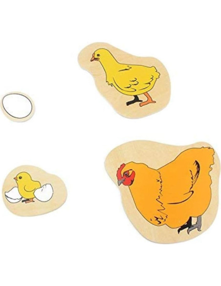 Rompecabezas de Madera Montessori DANNI Ciclo de Vida Gallina Rompecabezas de Madera Montessori DANNI Ciclo de Vida Gallina