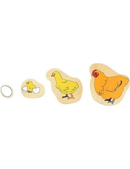 Rompecabezas de Madera Montessori DANNI Ciclo de Vida Gallina Rompecabezas de Madera Montessori DANNI Ciclo de Vida Gallina