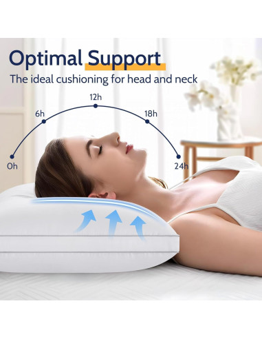 Juego de 4 Almohadas Queen ROUMEA Suave y Lavables