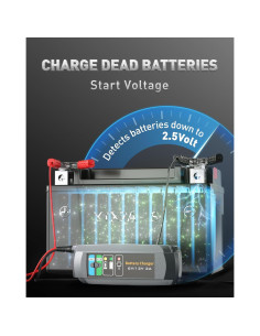 Cargador de Batería Automotriz Erayak 2A 6V/12V Inteligente 2