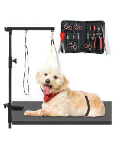 Kit de Acicalamiento para Perros Innovaciones Modernas 12 Piezas